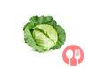 Cabbage