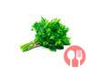 Parsley
