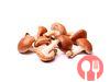 Shiitak mushrooms